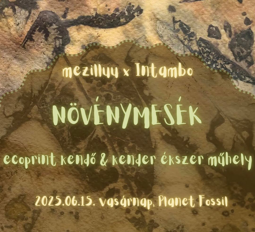 Növénymesék Workshop - Első részlet