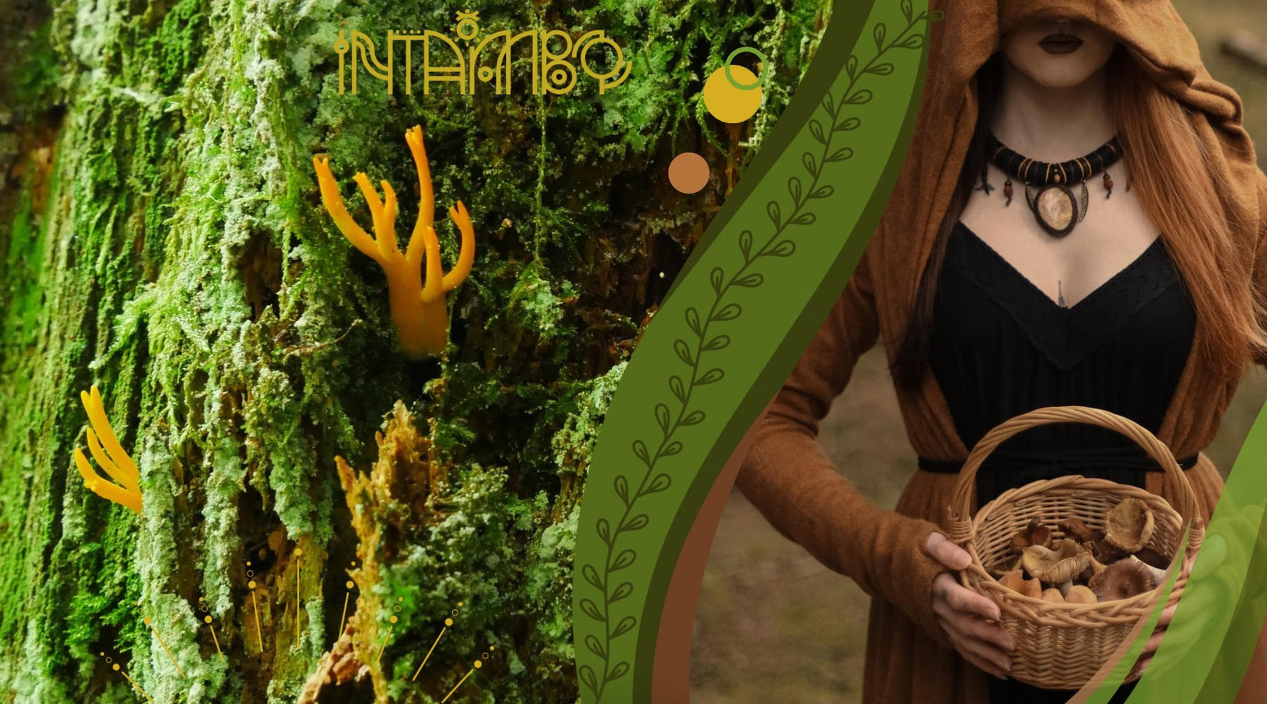 Intambo – Intambo Jewelleries